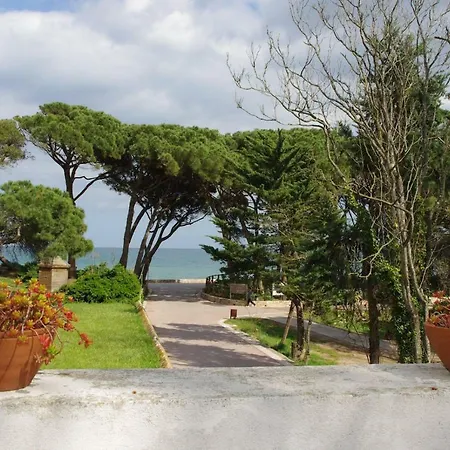 Galliner * Sant Marti d'Empuries